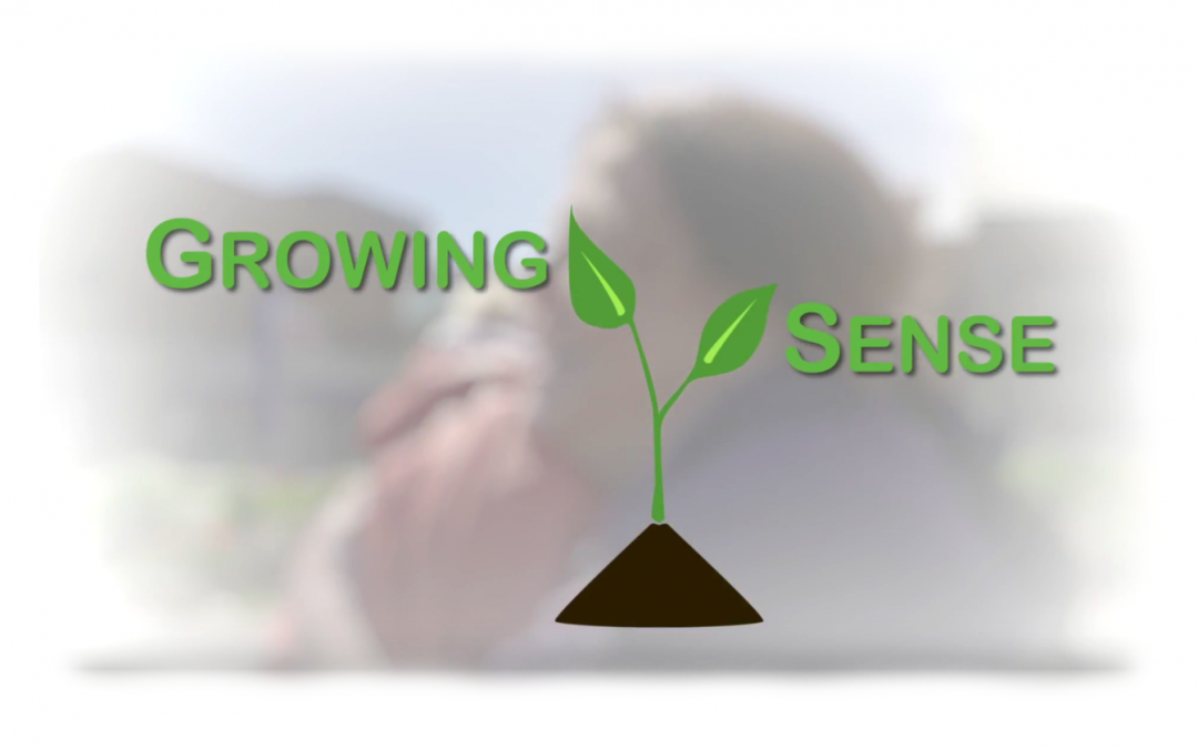 Growing Sense