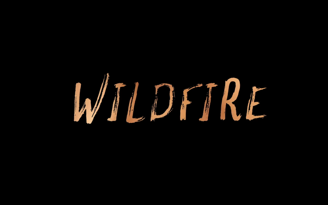 Wildfire